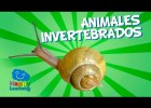 Animales Invertebrados | Recurso educativo 737796