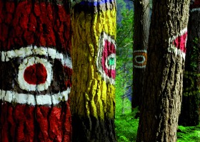 Intervención artística en el bosque de Oma | Recurso educativo 738834