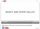 What are stem cells? How can they be used for medical benefit? | Recurso educativo 742439