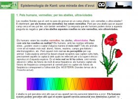 Kant: introducció epistemologia | Recurso educativo 744410