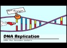 DNA Replication: The Cell's Extreme Team Sport | Recurso educativo 745195