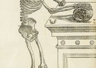 Anatomía humana - Wikipedia, la enciclopedia libre | Recurso educativo 747236