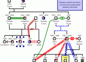 What is a genogram | Recurso educativo 747317