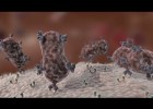 Antibody Immune Response | Recurso educativo 756250