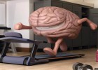 Els efectes de l'esport en el cervell humà | Recurso educativo 762674