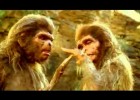 Homo habilis | Recurso educativo 762909