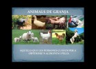 Tipus d'animals | Recurso educativo 768549