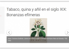 Bonanzas del tabaco, quina y añil s.XIX | Recurso educativo 769195