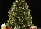Christmas tree | Recurso educativo 769692