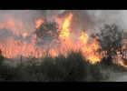Imágenes de un incendio forestal | Recurso educativo 771558