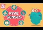 The Five Senses | Recurso educativo 772941