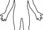 Silhouette of the human body | Recurso educativo 773479