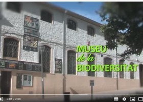Museu de la Biodiversitat | Recurso educativo 777171