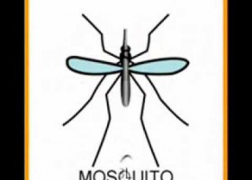 Canción El mosquito | Recurso educativo 786575