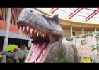 Dinosaurios en el museo | Recurso educativo 787424