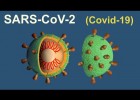 El proceso de infección del SARS-CoV-2 (Covid-19) | Recurso educativo 788173