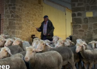 Win-win-win: Reinstating sheep transhumance in Spain | Recurso educativo 788577