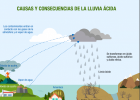 Causas y consecuencias de la lluvia ácida | Recurso educativo 790377