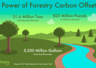 Which Type of Forestry Carbon Offset is Best? Learn the Types of Credits | Recurso educativo 7901676
