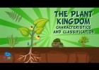 The Plant Kingdom: Characteristics and Classification | Recurso educativo 7903204