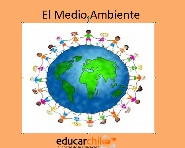 El medio ambiente | Recurso educativo 48440