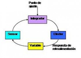 Homeostasis - Wikipedia, la enciclopedia libre | Recurso educativo 747228