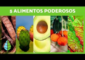 5 ALIMENTOS MILAGROSOS que debes INCLUIR en tu DIETA | Recurso educativo 790197